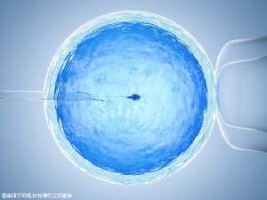 周立行